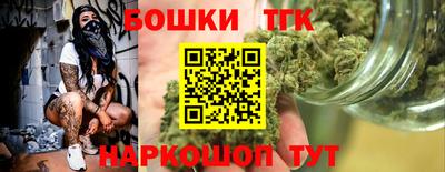 крисы Камышлов