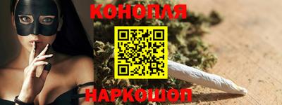 крисы Камышлов