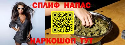 крисы Камышлов