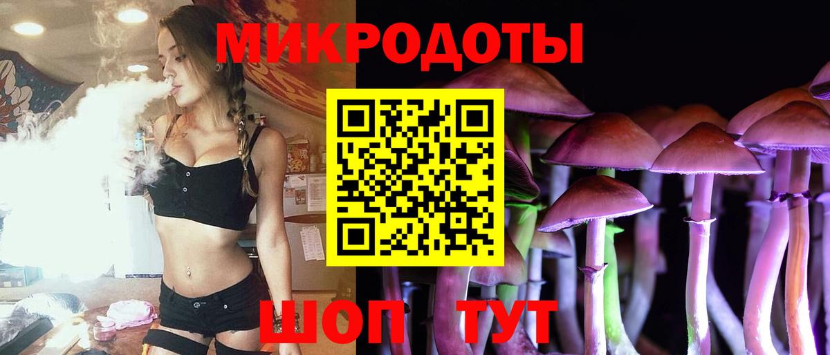 Псилоцибиновые грибы Psilocybe Крымск
